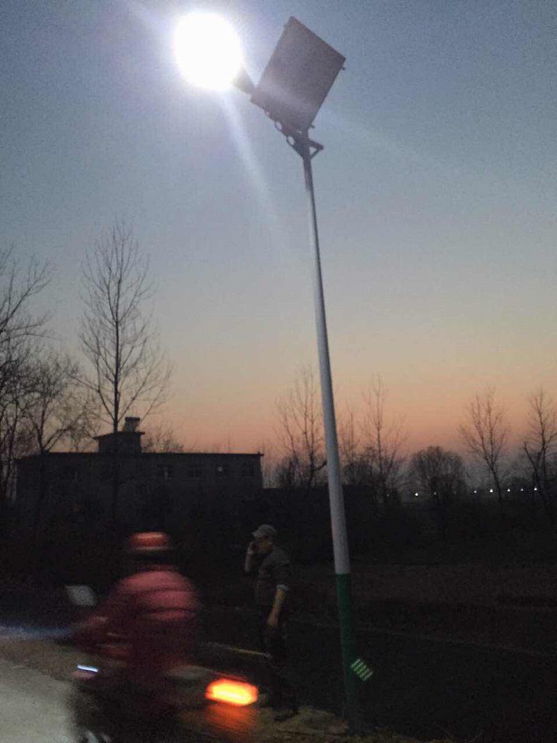 山東壽光新農村太陽能路燈安裝案例